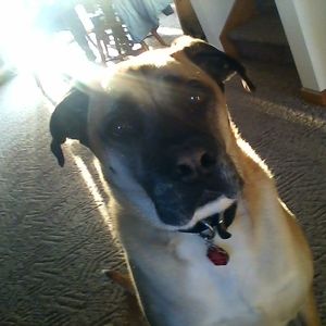 Meet your Posher, Liz